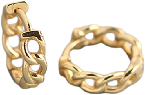Ohrringe Creolen Gold Silber Panzerkette Kette Kleine Ohrringe für Frauen von Generic