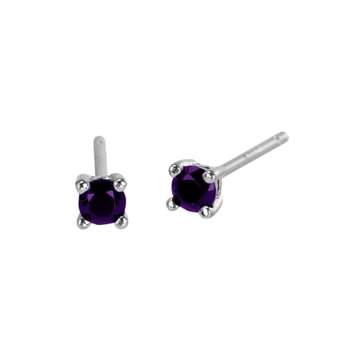 Ohrringe Für 2 Ohrlöcher Klassische Ohrringe Hypoallergene Silberohrringe Ohrstecker Kinder Ohrringe Für Mädchen (Purple, 8) von Generic