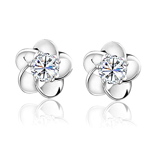 Ohrringe Pflaume Elegante Ohrringe Hypoallergen Ohrringe Silber für Frauen Geschenk von Generic