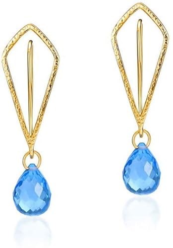 Ohrringe für Damen, Sterlingsilber, Persönlichkeit, hohl, vergoldet, blauer Kristall, glänzend, Anhänger, Ohrlinien von Generic