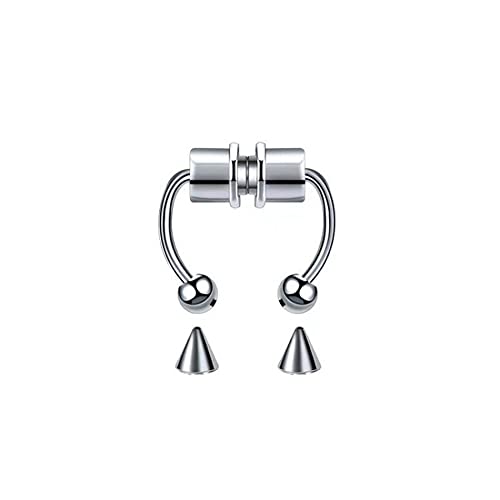PULABO Gefälschte Piercing Nasenring Legierung Nasenpiercing Hoop Septum Ringe für Frauen Schmuck Geschenke Mode magnetisches gefälschtes Piercing langlebig von Generic
