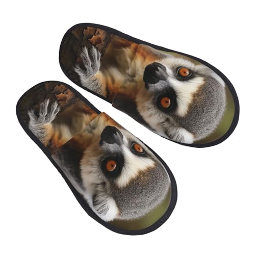 Pantoffeln Affe Lemur Süß Flauschiges Slippers Gemütlich Hausschuhe Für Unisex Weihnachten Schlafzimmer L von Generic