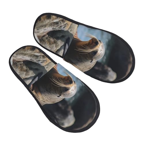 Pantoffeln Braune Robbe Auf Dem Felsen Gemütlich Hausschuhe Leichte Hauspantoffeln Für Weihnachten Draußen Drinnen L von Generic
