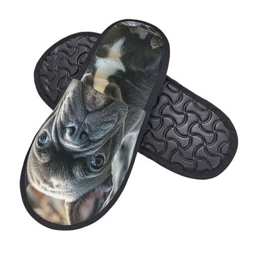 Pantoffeln Französische Bulldoggenwelpen Mit Fellfutter Slippers Wärme Hausschuhe Für Drinnen Schlafzimmer Weihnachten M von Generic