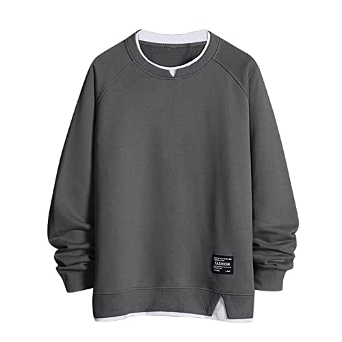 Pullover Herren Fleece Sweatshirt Herren Ohne Kapuze Basic Männer Sweatjacke Pullover Herren Pullover Herbst Winter Sport Style Casual Fitness Training Basic Grey XXL von Generic