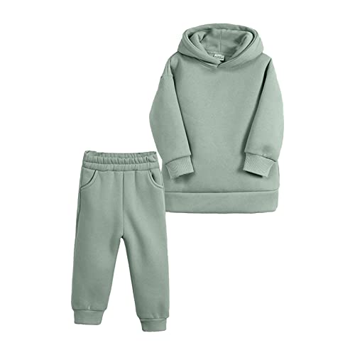 Pyjama 92 Mädchen Baby Mädchen Jungen Herbst Winter Warm Dicke Feste Baumwolle Langarm Fleece Gefüttert Tops Mit Kapuze Hoodie Hosen Sweatshirt Set Kleidung Baby Anzug (D, 2-3 Years) von Generic