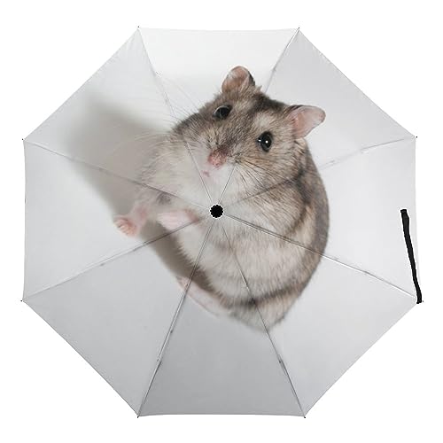 Regenschirm Sturmfest Niedlicher Hamster Sonnenschirm Automatisches Öffnen Und Schließen Für Herren Und Damen von Generic