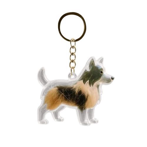 Schlüsselanhänger zum Sammeln von Katzen- und Hundehaaren, Pelz-Lebensanhänger für Hunde, DIY-Haustierfell-Sammlung, Haustierfell-Andenken,niedlicher Taschen Tierfell Andenken von Generic