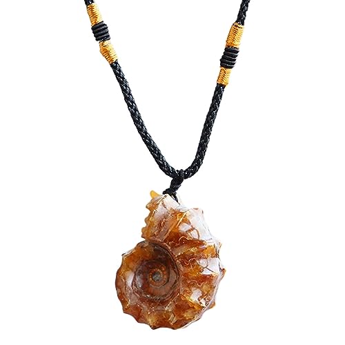Schneckenmuschel | Anhänger Ammonit Muschel Naturmuschel | Anhänger Stein Muschel Schnecke Handarbeit Ammonit Schmuck für Herren Schneckenmuschel | Anhänger Ammonit Muschel Naturmuschel | Anhänger Stein Muschel Schnecke Handarbeit Ammonit Schmuck für Herren von Generic