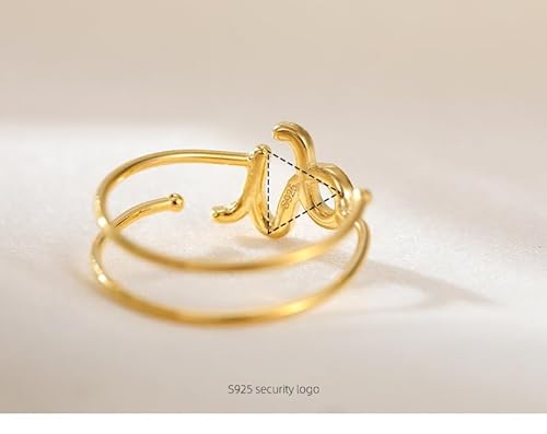 Silber Ringe 925 Frauen Silberner Steinbock Sternzeichen Bandring Für Frauen Und Männer Stapelbar Sternbild Statement Band Astrologie Himmlisches Daumenband Verstellbar 13–17# Schmuck Geburtstags von Generic