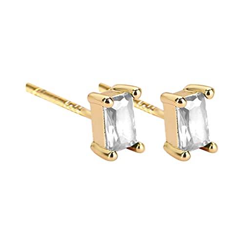 Silberne Kronleuchter Ohrringe Frische Zirkon Weibliche Ohr Stud Temperament Licht Luxus Ohr Stud Für Frauen Ohrringe Geometrisch (B, One Size) von Generic