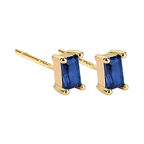 Silberne Kronleuchter Ohrringe Frische Zirkon Weibliche Ohr Stud Temperament Licht Luxus Ohr Stud Für Frauen Ohrringe Geometrisch (C, One Size) von Generic