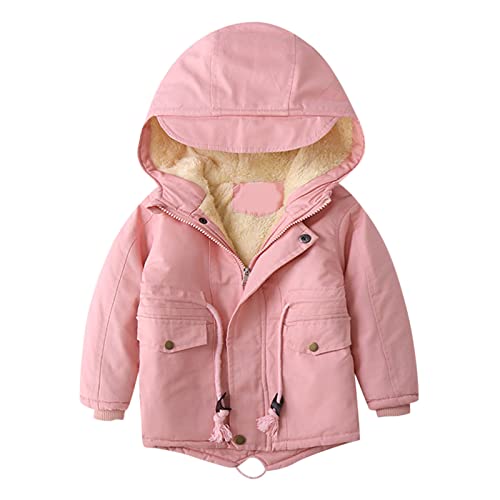 Softshell Jacke für Kinder Fleece gefüttert mit Kapuze Softshelljacke Jungen Mädchen Übergangsjacke solide Kapuzenjacke Kleinkind winddicht verdicken warm Outwear Baby (Pink, 3-4 Years) von Generic