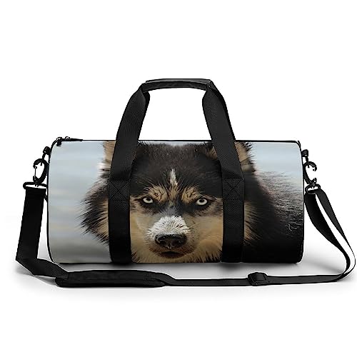 Sporttasche Tier Hund Husky Sport-Sporttaschen Für Männer, Frauen, Yoga-Tasche, Wochenendtaschen 45x23x23cm von Generic