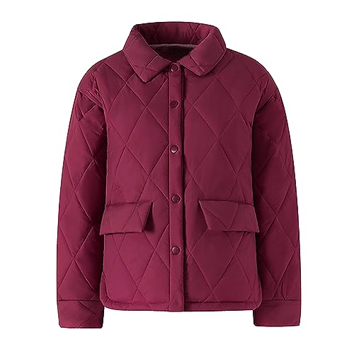 Steppjacke für Damen Wintermantel Daunenjacke Elegant Übergangsjacke Daunen Jacke Revers Puffer Jacket Warm Mantel Knopfleiste Hochzeit Winterjacke Oberbekleidung Damenjacke von Generic