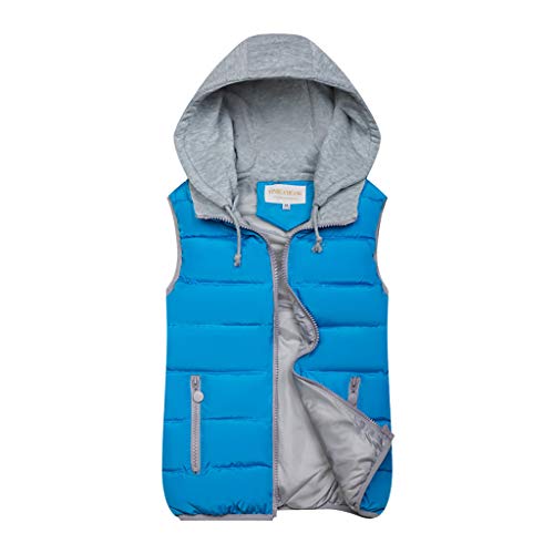 Steppweste Damen Winter Warm Ärmellose Ultraleicht Weste Daunenweste Steppweste mit Kapuze Taschen Weste Ärmellose Daunenjacke Kurz Winterweste Übergangsweste Outdoor Weste(D Blau,3XL) von Generic
