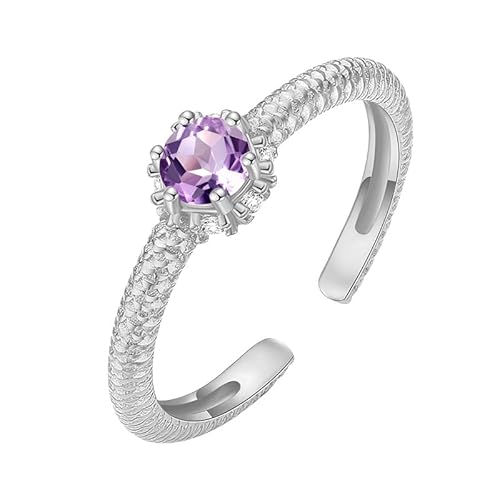 Sterling Silber 925 Ringe Für Damen Natürlicher Edelstein Geburtsstein Ring 14 Karat Vergoldet Vintage Gebürstet Halbe Ewigkeit Stapelbares Band Offenes Versprechen Ehering Für Sie Amethyst von Generic