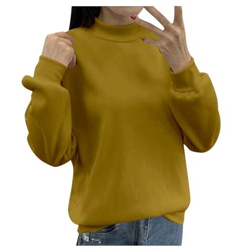 Sweatshirt Pullover Damen Einfarbiges Basic Langarmshirt Frauen Rundhals Pulli ohne Kapuze Casual Longsleeve Oberteile Langarm Bluse Tops von Generic
