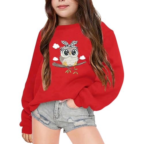 Sweatshirt Pullover Mädchen Loose Fit Langarmshirt Cartoon Eule Druck Rundhals Langarm Lässig Locker Top Mode Pullover Sweatshirt Thermoshirt Kinder Kleidung für 3-14 Jahre von Generic