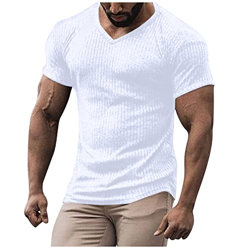 T Shirt Herren Basic Slim Fit V-Ausschnitt Sportshirt Tshirt Hawaii Hemd Männer Strandhemd Casual Kurzarm Gym Fitness Tshirt Schnelltrocknend Atmungsaktiv Sommer Muskelshirts Sweatshirt von Generic