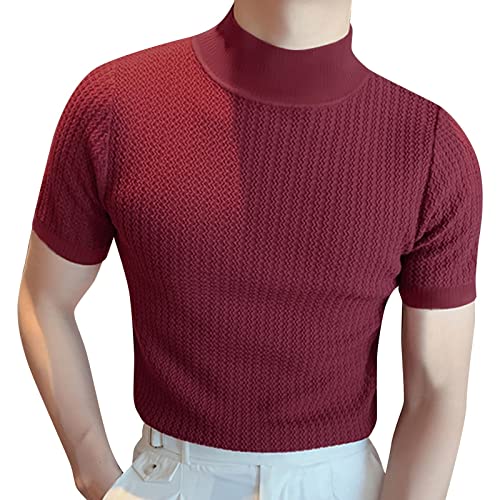 T-Shirt Kurzarm mit Rollkragen Herren Stretch Sweatshirt Strick Unterwäsche Sport Einfarbig Elastische Oberteile Casual Basic Tops Männer Bluse mit Stehkragen Freizeithemden (Wine, XL) von Generic