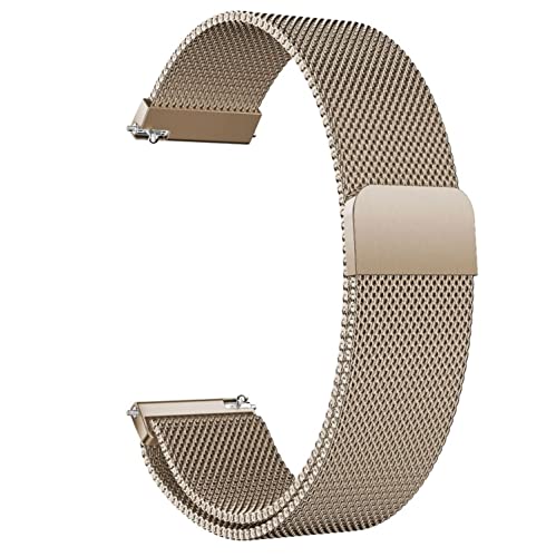 Uhrenarmband Mesh Metall Edelstahl Armband Smartwatch Ersatzarmband Schnellverschluss Magnetarmband Uhr Armband Ersatz for Damen Herren 14mm 16mm18mm 20mm 22mm 24mm (Color : Champagne, Size : 24mm) von Generic