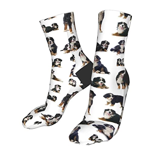 Unisex Socken Berner Sennenhund Herren Athletic Knöchel Socken Kissen Laufsocken Baumwolle Socken Crew Socken, siehe abbildung, One size von Generic