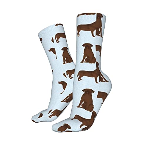 Unisex Socken Labrador Retriever Chocolate Lab Pet Herren Athletic Ankle Socks Kissen Laufsocken Baumwollsocken Crew Socken, siehe abbildung, One size von Generic