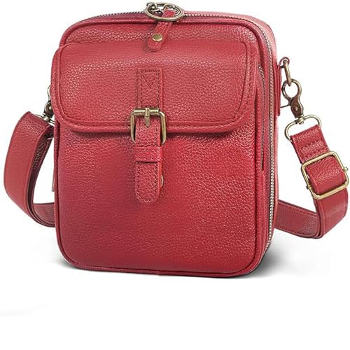 Vintage Anti-Diebstahl Damen-Umhängetasche aus PU-Leder – Verstellbare Schultertasche mit 10 Kartenfächern, Kleine Messenger Bag für Alltag & Reisen (E) von Generic