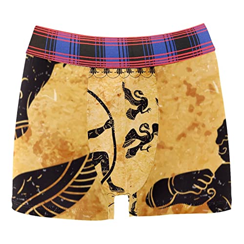Vintage Old Ancient Hercules Muster Personalisierte Herren Unterwäsche scheuerfest Tasche Boxershorts, Mehrfarbig, Medium-Large von Generic