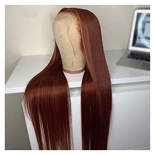 Wigs 26 Inch Long Silky Straight Lace Front Synthetic Wig for Orange Women Cosplay Wig (Brown 24inches) von Generic