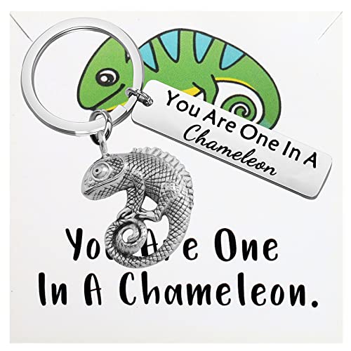 "You are One in A Chamäleon-Schlüsselanhänger", Chamäleon-Anhänger, Schmuck, Happy Anniversary Birthday Geschenk, In a Chameleon K Card Eu, L von Generic
