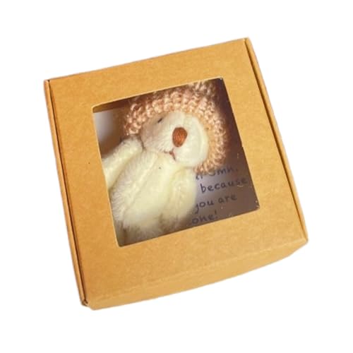 Bear Stuffed Animal, Handmade Small Stuffeds Bear in Box, Cute Plush Companion Gift, with Inspirational Message Card Positive Home Decor and Uplifting Moments for Women Men Kids von Générique