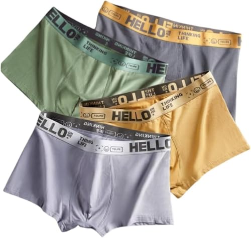 4er-Pack Herren-Boxershorts aus Baumwolle – Atmungsaktive und weiche Unterwäsche for ultimativen Komfort(Color Mixed 02,Large) von Generisch