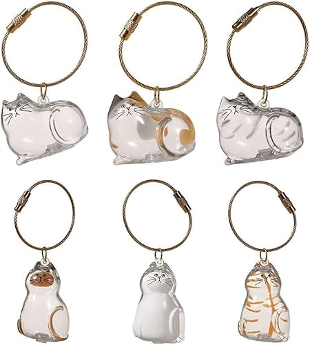 6 Stück Katzenfell Vorratsflasche Transparent Souvenir Kapsel Anhänger Haustier Enthusiast Zubehör Aufbewahrungsflasche zum Sammeln Haustier von Generisch