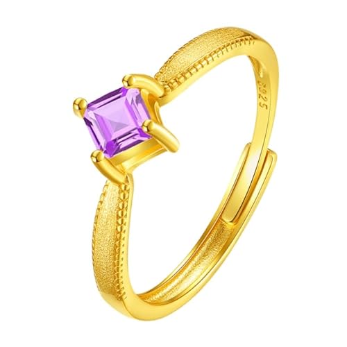 925 Sterling Silber Gebürsteter Verlobungsring Für Frauen Quadratschliff Edelstein Vergoldeter Ring Cocktail Eternity Verlobungsversprechen Ehering Geschenke Für Sie Amethyst von Generisch