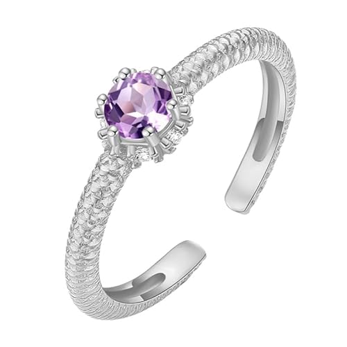 925 Sterling Silber Rund Halo Solitär Verlobungsring Für Frauen Facettenschliff Naturedelstein Ring Zirkonia Strukturband Cocktail Ehering Amethyst von Generisch
