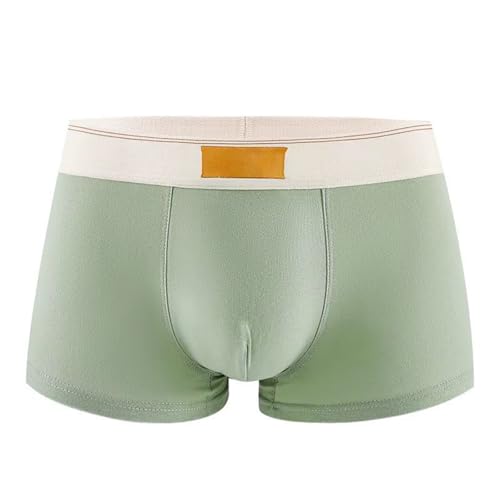 Boxershort Herren Retroshorts Hipster Microfaser Unterhosen Männer Boxershorts Männer Baumwolle Men Retroshorts Trunks Weich Atmungsaktiv Sport Boxershorts Unterwäsche (Hellgrün, XL) von Generisch