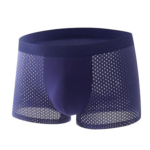 Boxershorts Herren Eisseide Mesh Unterwäsche Netz Transparent Sexy Retroshorts Atmungsaktive Boxer Shorts Shortys Boxer Briefs Weit Herrenunterhosen Mesh Sheer Unterwäsche von Generisch