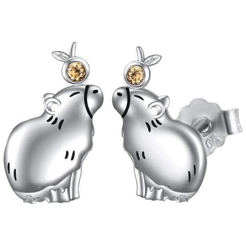 Capybara Ohrringe - Capybara Mädchen Ohrringe | Sterling Silber Ohrringe | Lustige Ohrringe aus Verzinkung | Schöne Geburtstagsschmuck aus Silber P von Generisch