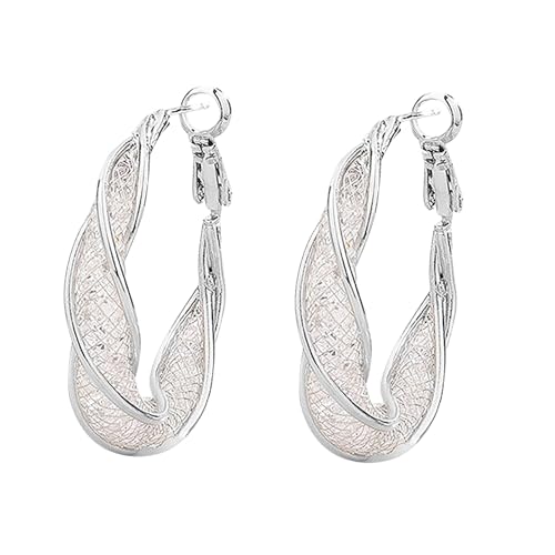 Contorted Hollow Earrings 925 Silber Advanced Sense Ear Loop Light Fashion Stud Personality Fortschrittliche Ohrschlaufe Leichte Luxus-Mode Netz Glitzer Ohrringe (银色, One Size) von Generisch