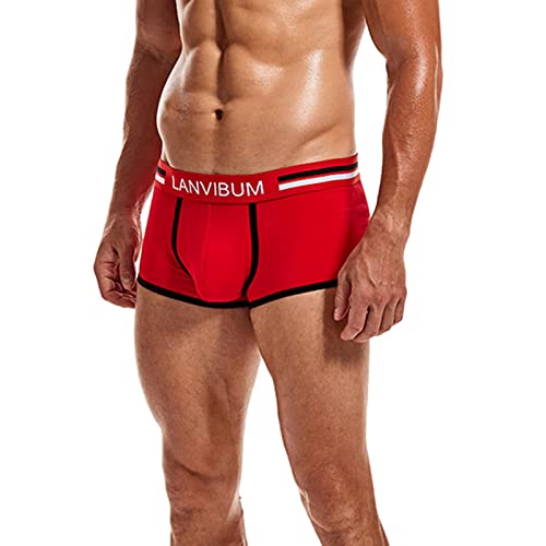 Damen Hipster unterwäsche thermounterwäsche für Damen Fahrrad unterwäsche Herren Slip Boxershorts Boxershorts Jungen 164 Hosenrock Damen Herren Slips L 10.99 von Generisch