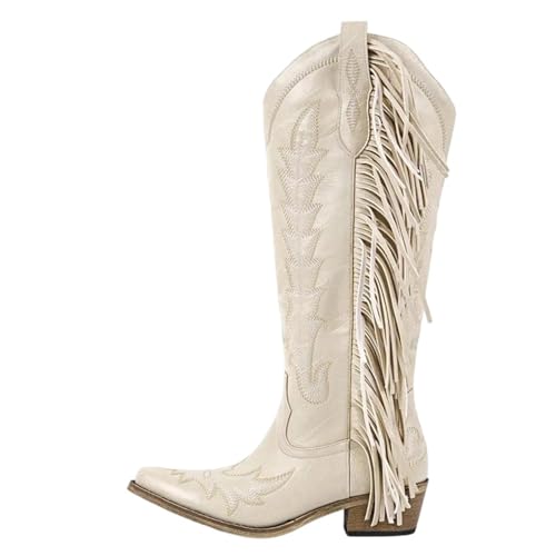 Damen-Stiefel mit spitzem Zehenbereich, Fransen und seitlichem Reißverschluss, mit Fransen, klobigem High Heel und Stickerei für detaillierte, modische Schuhe, Cd250708b, 46 EU von Generisch