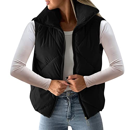 Daunenweste Damen Kurz Schwarz: Steppweste Damen Leicht Stehkragen Ärmellose Übergangsweste Mit Reißverschluss Leicht Fleeceweste Ohne Kapuze Zip Up Steppwesten Warmer Herbst Winter Weste Winterjacke Daunenweste Damen Kurz Schwarz: Steppweste Damen Leicht Stehkragen Ärmellose Übergangsweste Mit Reißverschluss Leicht Fleeceweste Ohne Kapuze Zip Up Steppwesten Warmer Herbst Winter Weste Winterjacke von Generisch