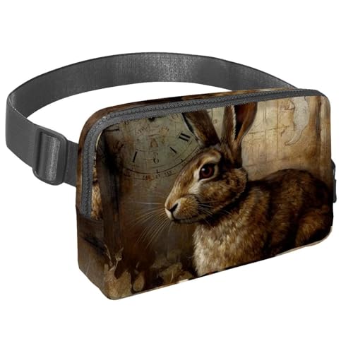 Explore in Style, Bauchtasche mit verstellbarem Riemen für Damen und Herren, perfekt zum Laufen, Walken, Wandern und Radfahren, Vintage-Alpaka-Muster, Mehrfarbig Nr. 05, 1.5x9.0x5.9in/4x23x15cm von Generisch