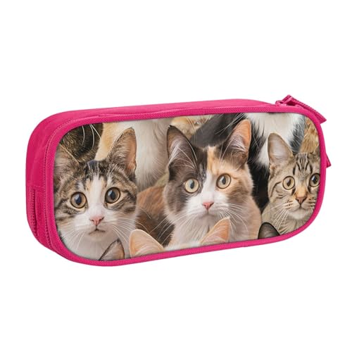 Federmäppchen mit Katzenmotiv für Jungen und Mädchen, bunt, groß, für Schreibtisch, Schreibwaren, Organizer, Federmäppchen für Schule, Büro, Make-up-Tasche mit Reißverschluss, blau, 21x5x10.5cm von Generisch