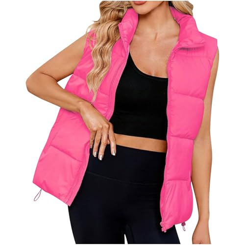 Generisch Angebote des Tages Heute Steppweste Damen Winter Stehkragen Daunenweste Thermal Ärmellos Winterjacke Einfarbig Übergangsjacke Wintermantel Steppjacke Steppmantel Winterweste Freizeit von Generisch