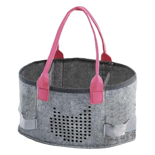 Generisch Audio Player Case, Portable Hearing Doll Storage Suitcase, Multifunctional Felt Cloth Bag for Player Starter Set and Musical Instrument Accessories von Generisch