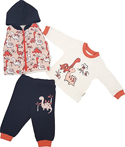 Generisch Baby Jungen Kleinkinder 3er Set Jogginganzug Trainingsanzug Sportanzug Thermo Fitness Hose Jogginghose 3 Teilig Größe 56 62 68 3M 6M 9M (86 (18M), Rot) von Generisch