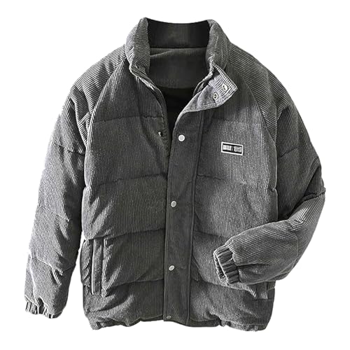Generisch Cordjacke Herren Winterjacke Warme Gefütterte Cord Jacke Mode Stehkragen Steppjacke Verdickte Retro Jacke Freizeit Übergangsjacke mit Reißverschluss (Grey, L) von Generisch